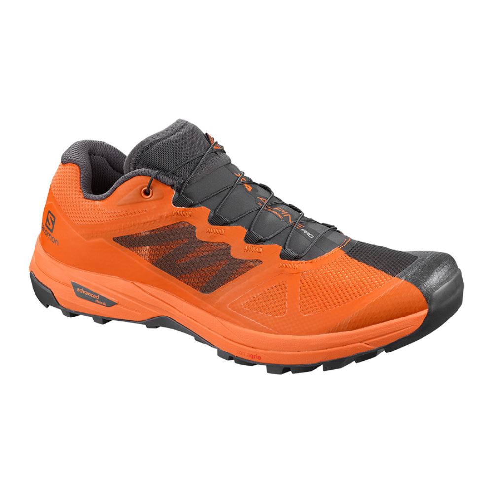 Salomon X Alpine /Pro - Phantom/Russet Orange/Russet Orange