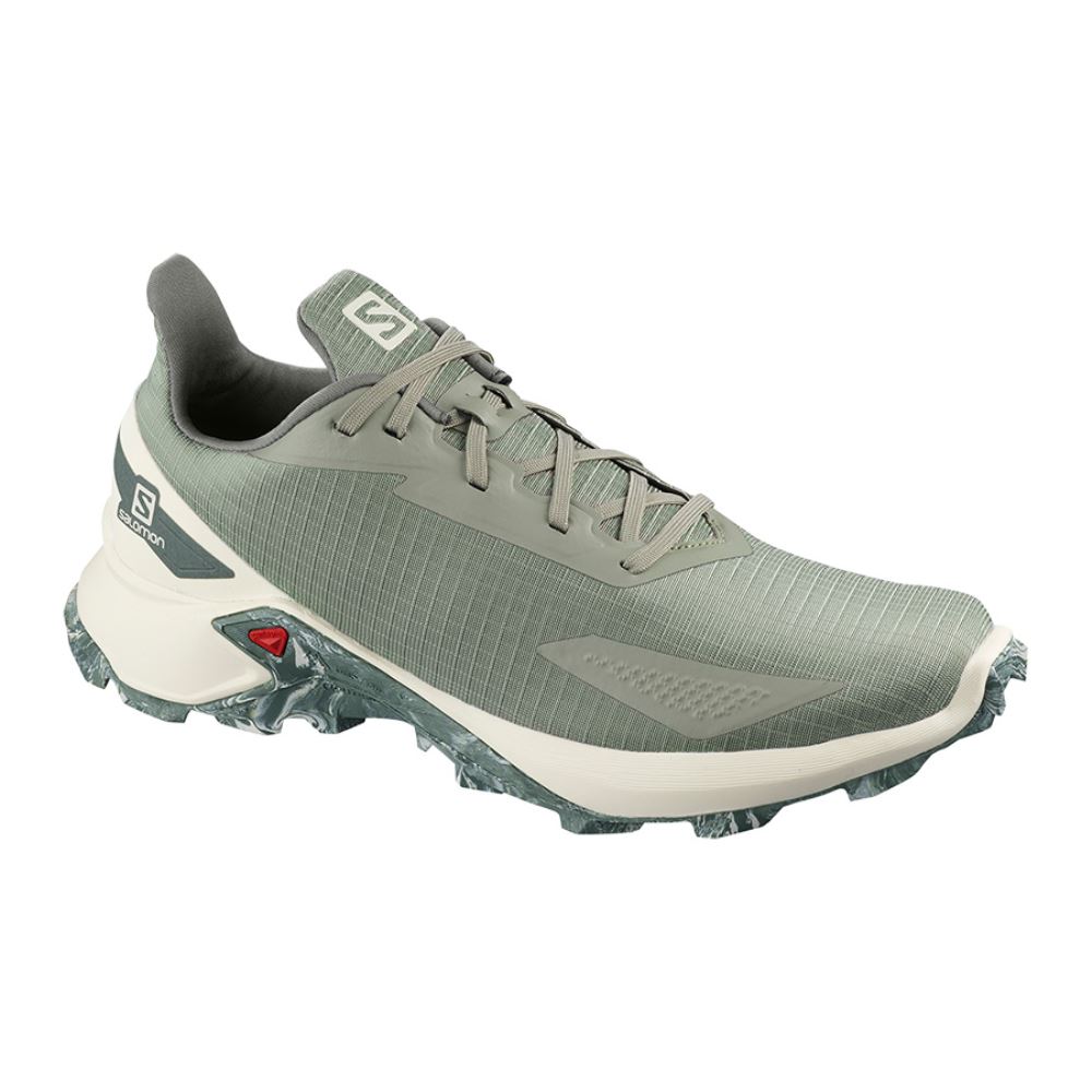 Salomon Alphacross Blast - Shadow/Vanilla Ice/Castor Gray