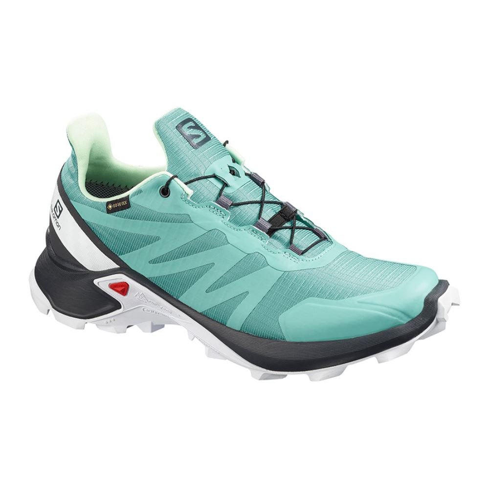 Salomon Supercross Gtx W - Green/Black